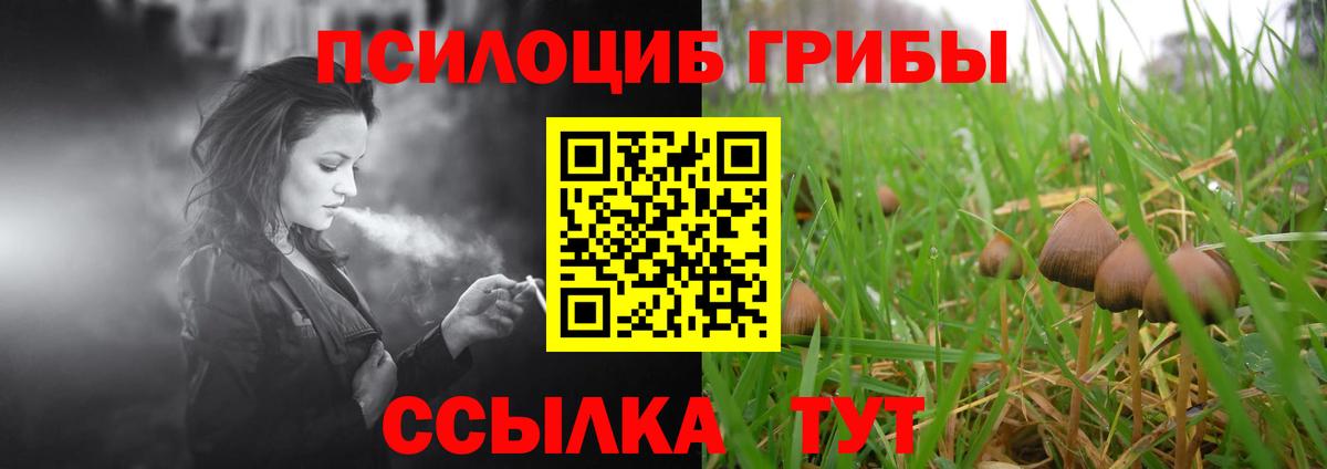 Галлюциногенные грибы ЛСД Кызыл