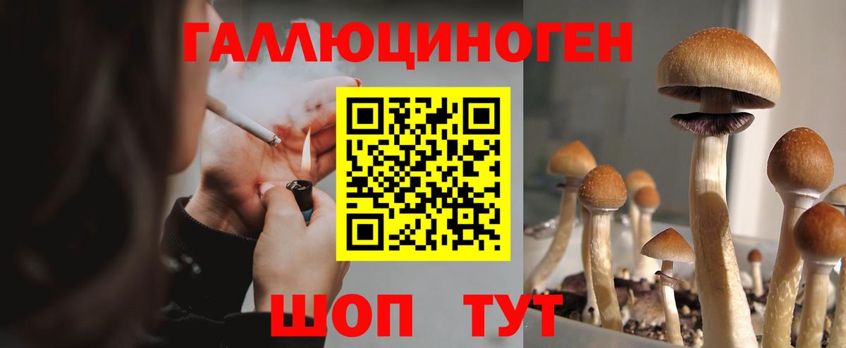 Галлюциногенные грибы мухоморы  Псилоцибиновые грибы Magic Shrooms  Вход с VPN  Кызыл 